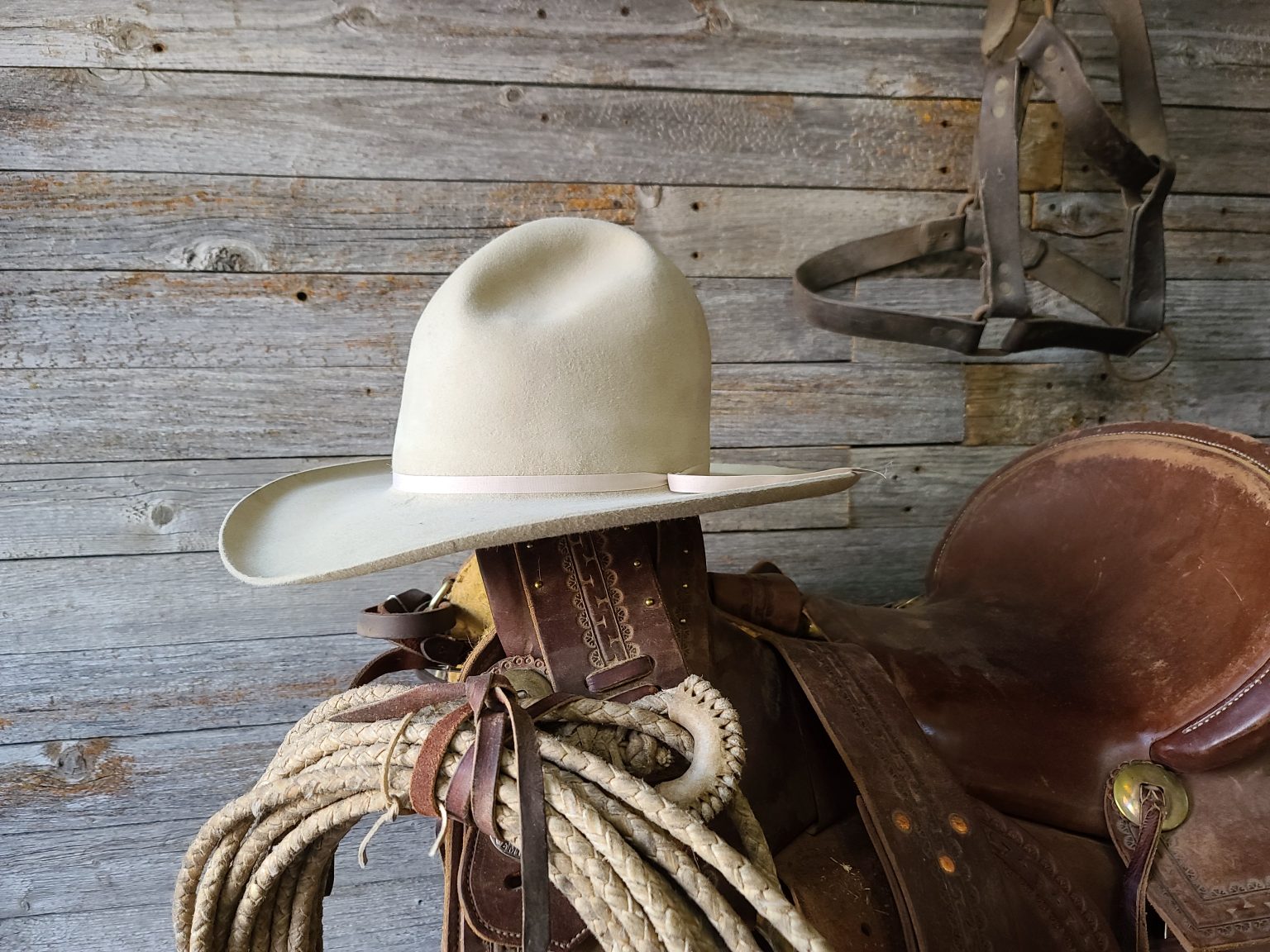 Cowboy Hats In Ogden Utah - Staker Hats